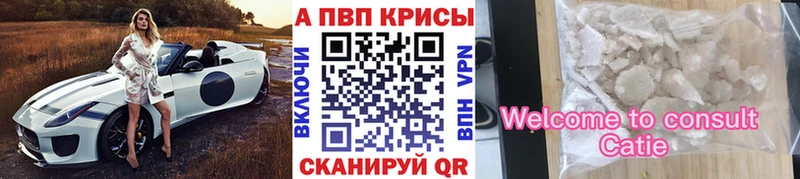 Купить  Дыгулыбгей  A PVP СК КРИС 