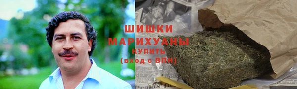 индика Семёнов
