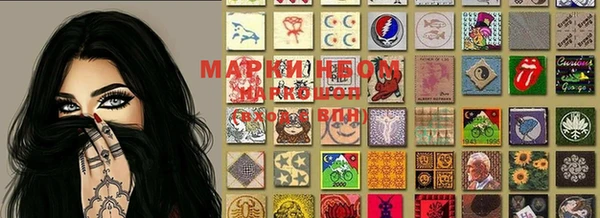 индика Семёнов