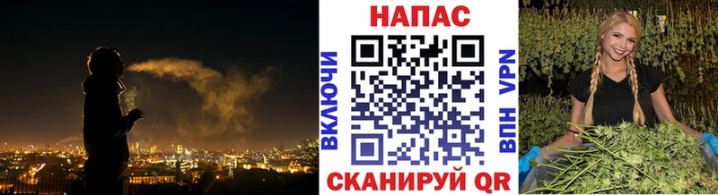 Купить где  Дыгулыбгей  Конопля тримм 